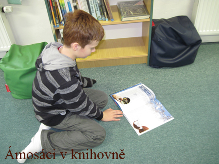 knihovna (8)